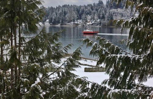 Incredible Sunset at Beachfront Glamping Cabin on Private, Herron Island with Fire Pit and Kayaking near Olympia, Washington - Foto 31