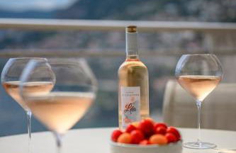 Le COQ Massolin - Parking - AC - WIFI - Foto 29