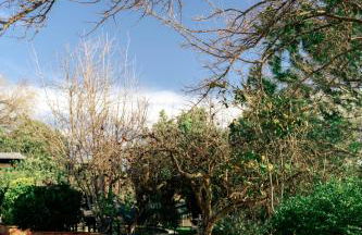 Finca Vitoria - Foto 24