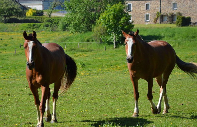 Castle in Roumont With Garden - Foto 27