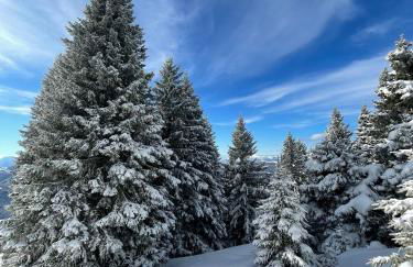 Maso K - Il Gufo Dorato - Foto 47