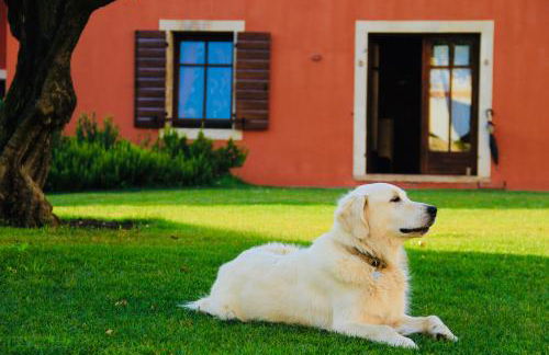 Musella Winery & Relais - Foto 76