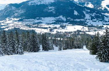 Summit Alps Apartments - Inclusive Bergbahntickets - Foto 29