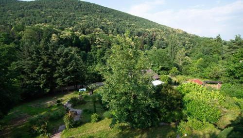 Ferienhaus am Bellachini - Foto 4, Garden view