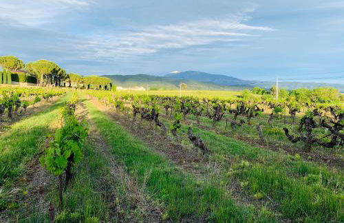 Le Mas Nathael - Photo 39