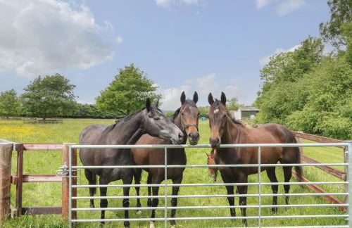 Flagstone Cottage - Photo 14