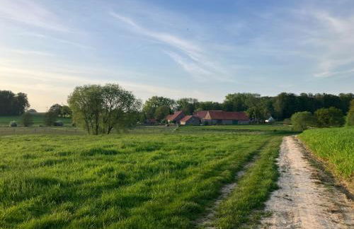 Scheunenwohnung in der Natur - Foto 7