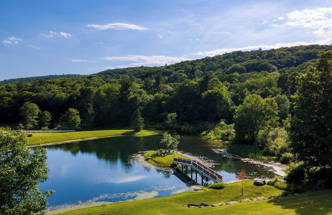 Secluded Berkshires Estate + Private Pond/pool,theater, Gym Sunny Pond - Foto 57
