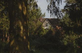 Przystanek Zielnik - Foto 25