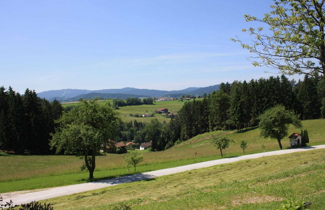 Beautiful Holiday Home in Viechtach With Views - Foto 61