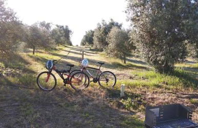 Lodge Rabasquinha - Foto 8