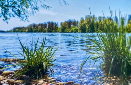 Ferienwohnung Altes Zollhaus - Foto 29