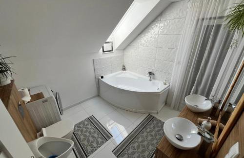 Wakacje Mazury, Willa Ametyst, cisza , ptasi śpiew , GRZYBY , RYBY - Foto 37