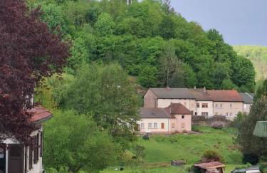 Ferienhaus du Bourguignon, Lorraine - Foto 53