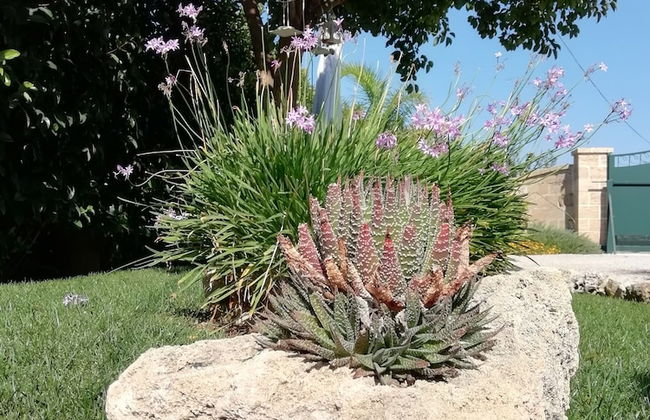 Villetta Dote - Photo 47