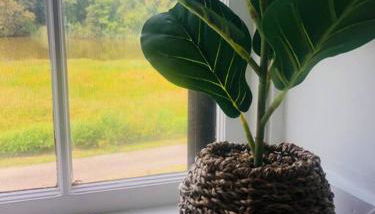 Captain’s Quarters - unique home on Corsica River! - Foto 5