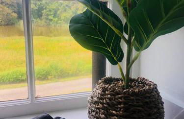 Captain’s Quarters - unique home on Corsica River! - Foto 5