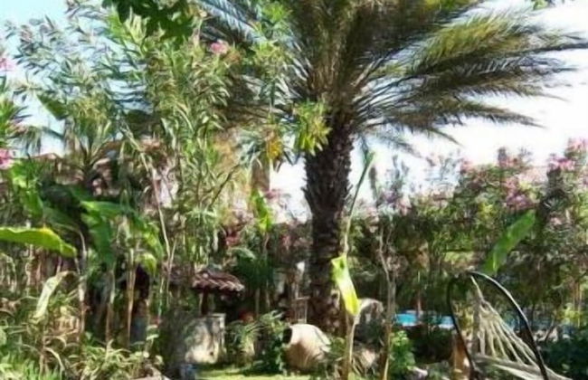 Villa Poseidon Apartments - Foto 30