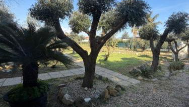 La Perla di Dea - Foto 4