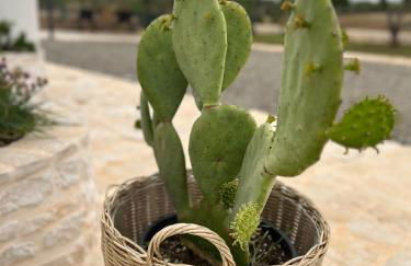 Trulli Enjoy - Foto 62