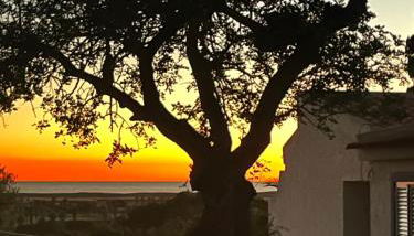 Casa Estrelita, Quinta da Felicidade, Praia dos Salgados - Foto 2