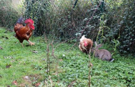 Monte Baserria - Foto 12