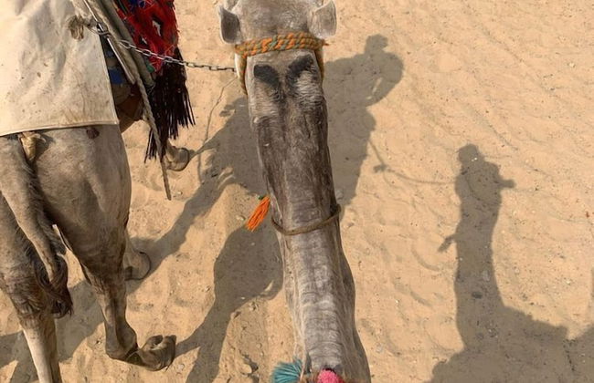 Moon life in Wadi Rum - Photo 28