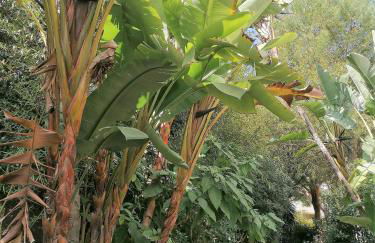 Beach & Golf Design Apartment Marbella - Photo 70