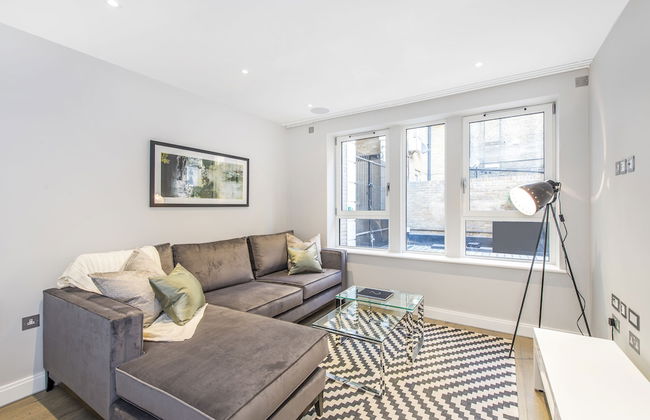 Lux St James Park Apartment Central London FREE WIFI by City Stay Aparts London - Foto 35