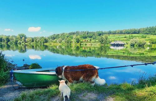 FeWo Lichtblick - Foto 46