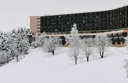 Studio cabine au pied des pistes à Villard de Lans, terrasse sud, parking gratuit - FR-1-515-106 - Foto 11