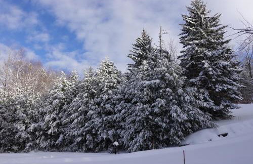 TymeoffVT cabin in the woods - Hot Tub , EV chg - Foto 43