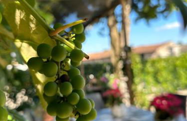 Casa Martina - Foto 12