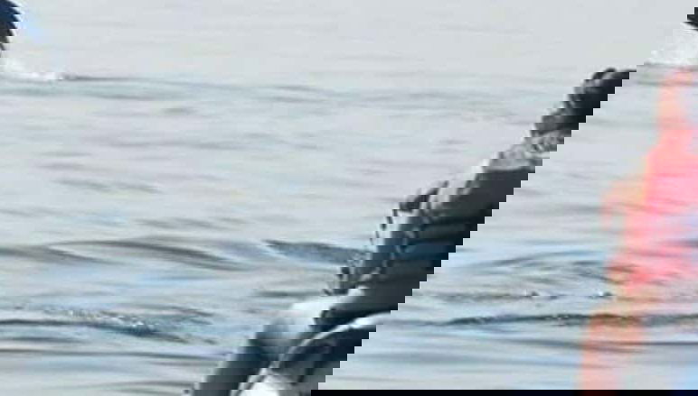 Tour en moto de agua por Djerba