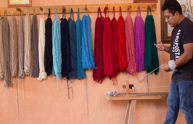 Tour des villages d'Oaxaca : San Martín Tilcajete, Teotitlán del Valle et Santa Maria el Tule - Photo 11