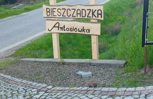 BIESZCZADZKA Antosiówka - Foto 29