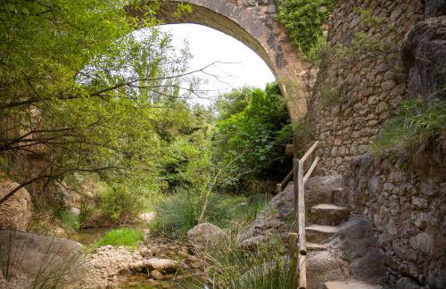 Casa Polito - Foto 46