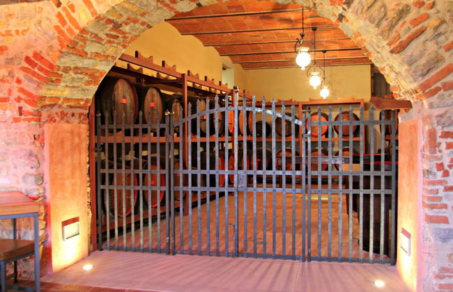 Castello di Volognano - Photo 66