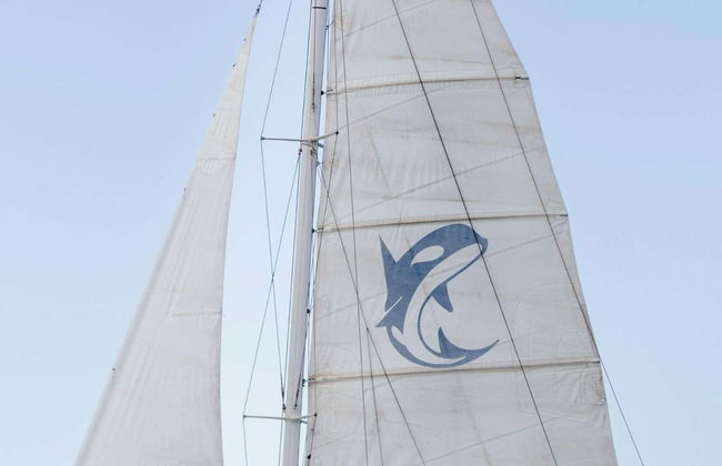 Avistamento de golfinhos ao entardecer em Puerto Calero - Foto 1