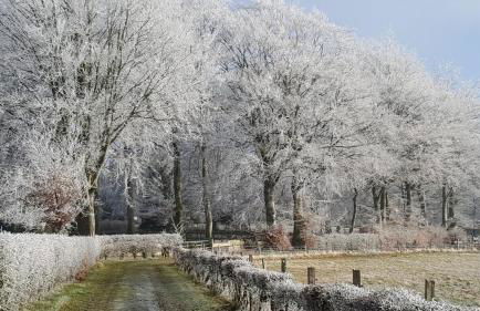 Ferienhaus Am alten Fachwerk - Foto 23