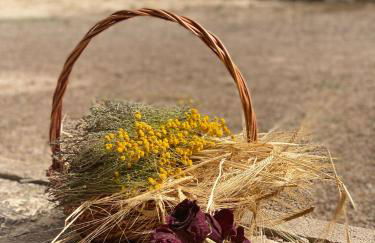 Villa Sanz - Foto 38