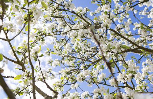 Blockhütte - Photo 23