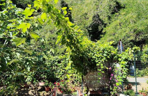 Casa Giulia - Foto 14