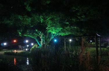 Figueira do Rio do Boi Com Hidromassagem - Foto 2