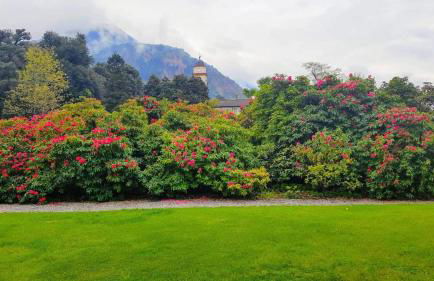 Nona lakeside apt at patrician Villa - Foto 18