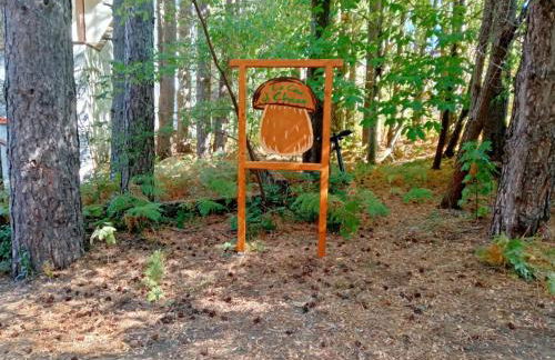 La Casa di Chicca - Foto 19