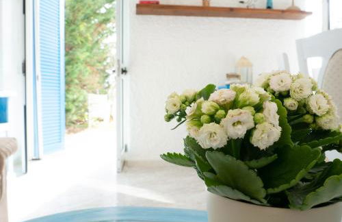 Villa Saline - Foto 55