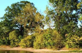 Apartment Chalet am Schloss Kaltenberg nahe Ammersee - Foto 62