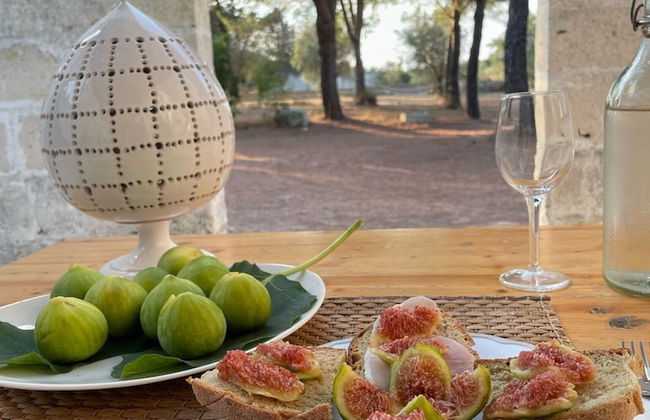 Tenuta Sidore - Photo 49