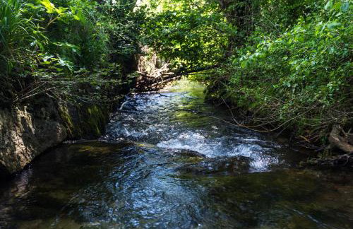 Forest Escape - Foto 2